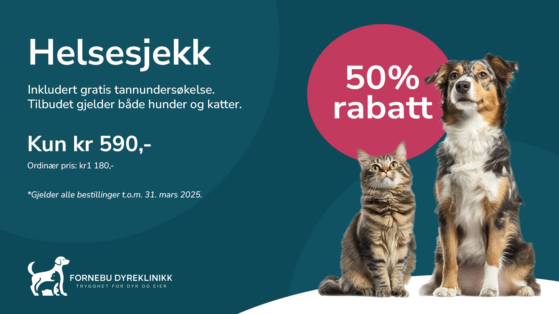 Helsesjekk av hund og katt - 50% rabatt
